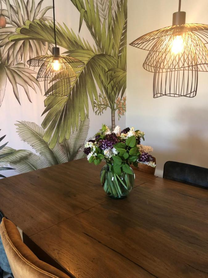 Domaine Mas Terra Bed & Breakfast Saint-Paul-de-Fenouillet Ngoại thất bức ảnh