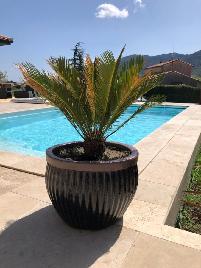 Domaine Mas Terra Bed & Breakfast Saint-Paul-de-Fenouillet Ngoại thất bức ảnh